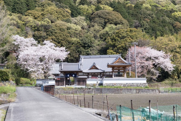 大福寺にご参拝の方へ