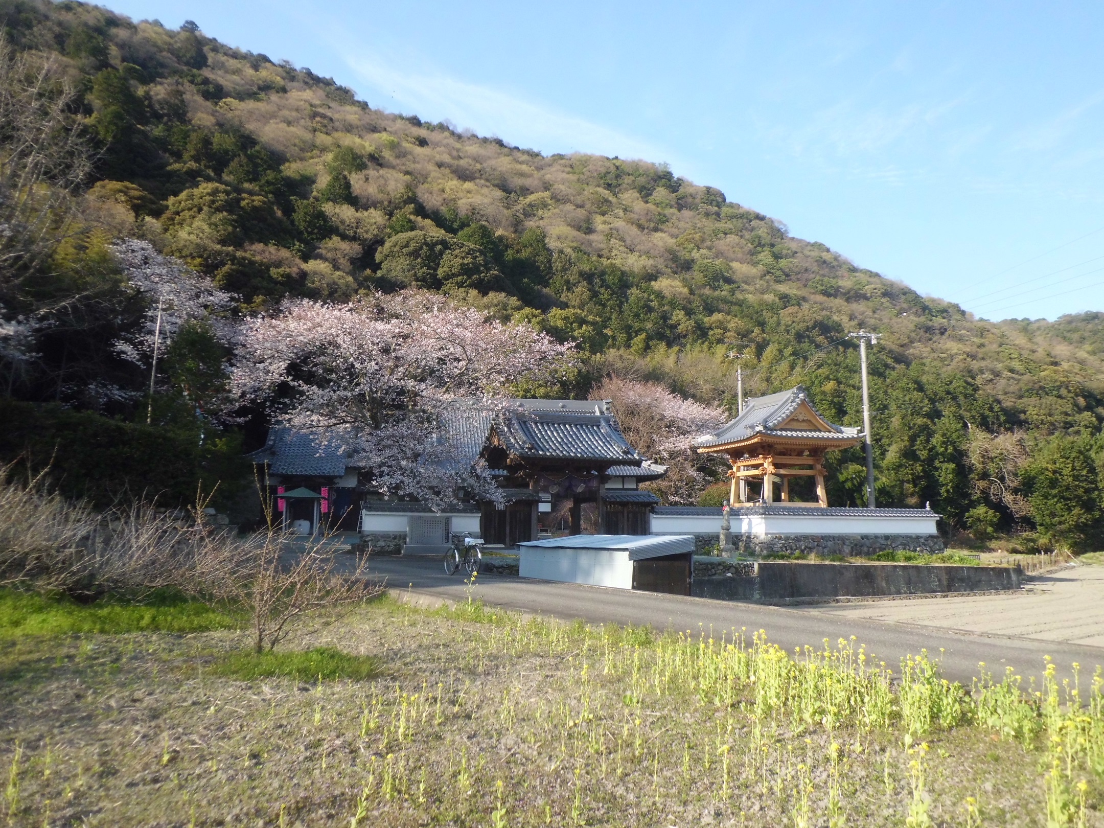 沈黙を破って・・