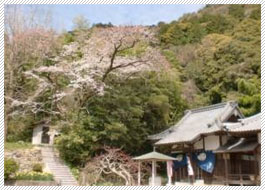 4月8日月曜日ですけど、『花祭り』です